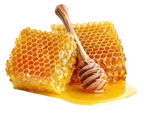 Honey Image