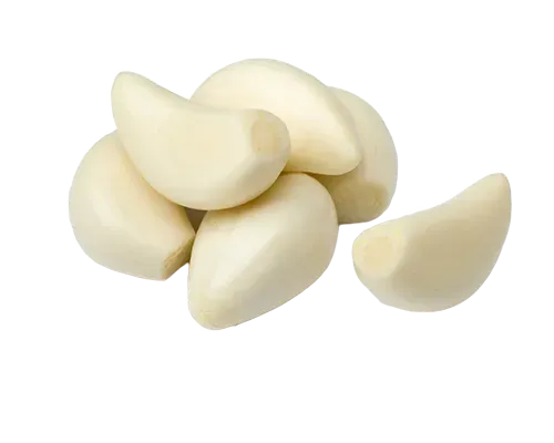 Garlic Image