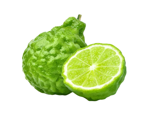 Bergamot Image
