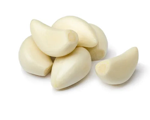 Garlic Photo